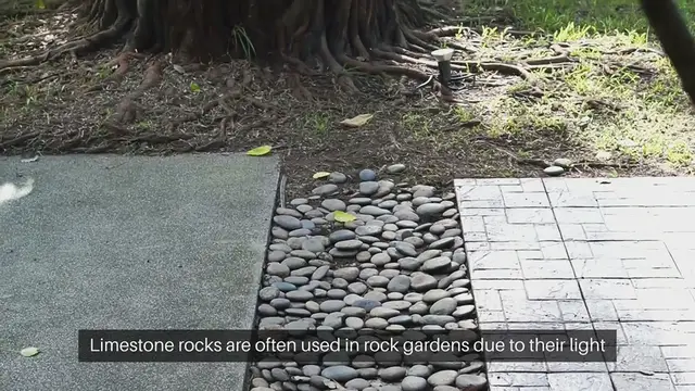 'Video thumbnail for Best Rock Types for Rock Gardens'