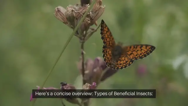 Video thumbnail for Beneficial Insects for Pest Control