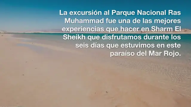 Video thumbnail for Excursión al Parque Nacional Ras Muhammad ¡Mi experiencia y consejos!