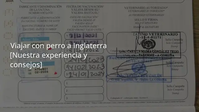 Video thumbnail for Viajar con perro a Inglaterra [Nuestra experiencia y consejos]