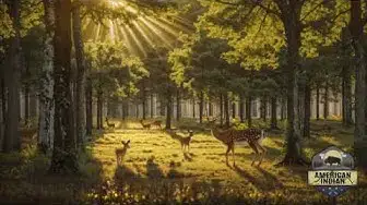 Video thumbnail for Purifying Melodies: Native American Cleansing Music