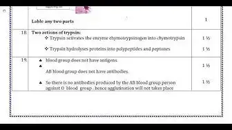 Video thumbnail for 11th Bio-Zoology Quarterly Exam Answer keys 2018-19 | English Medium | Team Aspirants