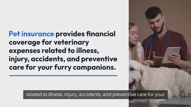 Video thumbnail for Pet Insurance Options