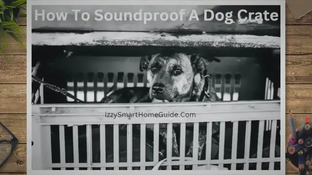 'Video thumbnail for How To Soundproof A Dog Crate'