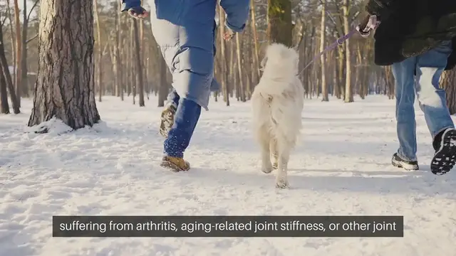 Video thumbnail for Pet Joint Health Supplements