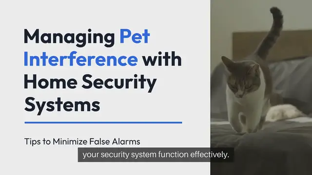 Video thumbnail for Managing Pet Interference with Security