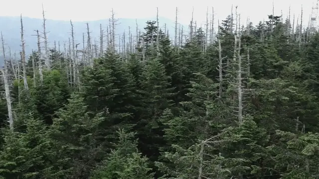 Video thumbnail for Rusty Golden, Son of the Oak Ridge Boys' William Lee Golden, Dies at 65: 'A Wonderful Son'