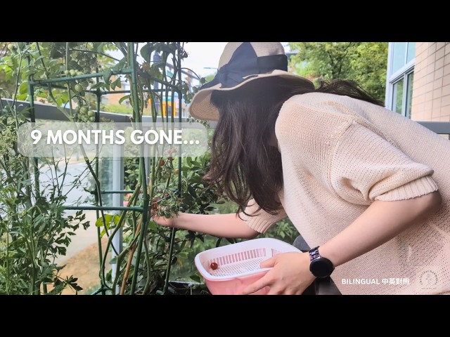 Video thumbnail for I disappeared for 9 months... (The Big Reveal)