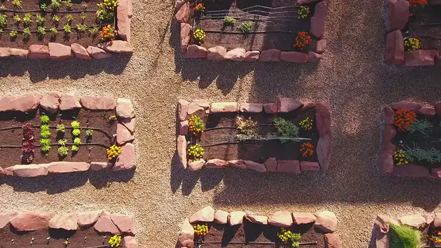 Video thumbnail for Grow Delicious Leeks Easily