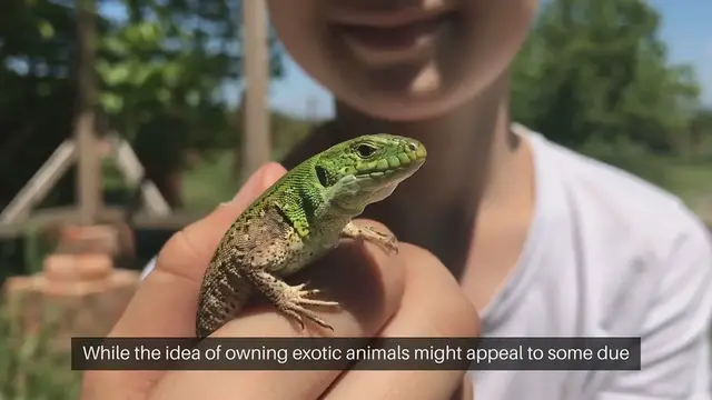'Video thumbnail for Wildlife Pets Legal and Ethical Considerations'
