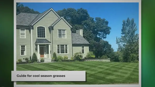 'Video thumbnail for May Lawn Care Schedule (2024) - Lawn Phix'