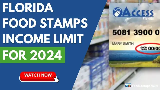 Video thumbnail for Florida Food Stamps Income Limits for 2024