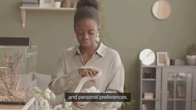 Video thumbnail for Small Pets vs Large Pets