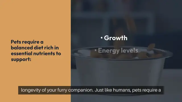 Video thumbnail for Healthy Pet Diet