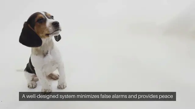 'Video thumbnail for Pet Friendly Alarm System Setup'