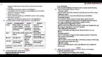 Video thumbnail for 11th Commerce Quarterly Exam Answer Keys 2019-20 | Kallakurichi District | Tamil Medium