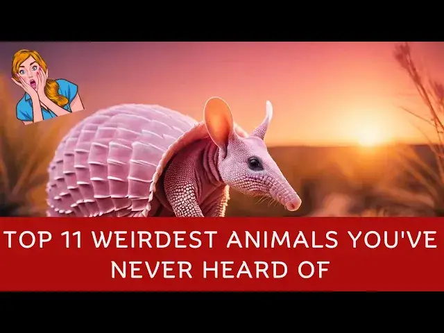 'Video thumbnail for Top 11 Weirdest Animals You've Never Heard Of'
