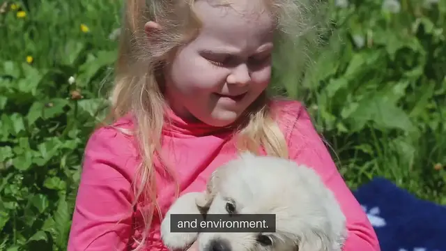 Video thumbnail for Pet Breed Suitability Guide