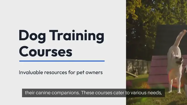 Video thumbnail for Dog Training Courses