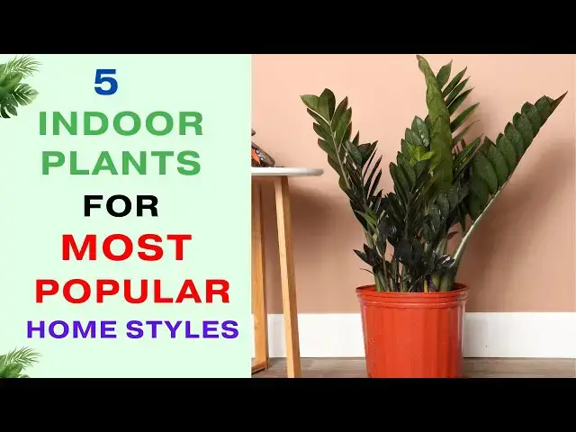 'Video thumbnail for Top 5 Houseplants for Each of the Most Popular Home Styles'