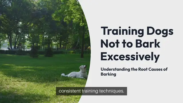 Video thumbnail for Training Dogs Not To Bark