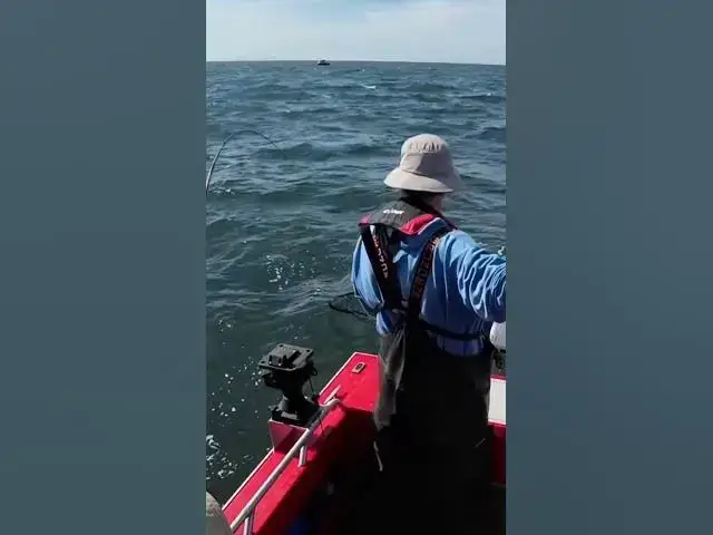 'Video thumbnail for Fishing for coho outside Ilwaco in 70 ft. I love the bite on lead over downriggers!'