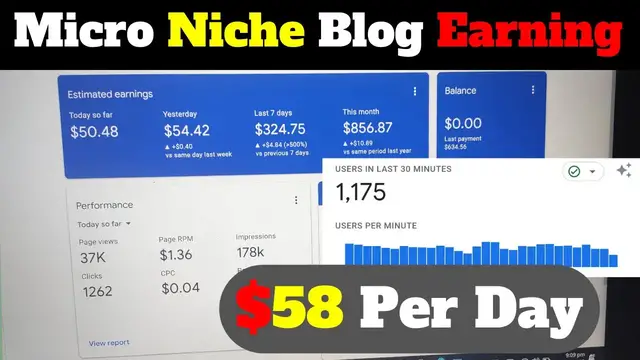 'Video thumbnail for Micro Niche Blog Earning 1 Day Earning $58+ | Secret Micro Niche 1.5 Million Monthly Traffic'