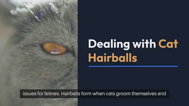 Video thumbnail for Dealing with Cat Hairballs