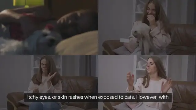Video thumbnail for Dealing with Cat Allergies