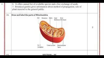 Video thumbnail for 11th Bio-Botany Quarterly Exam Answer keys 2018-19 | English Medium | Team Aspirants