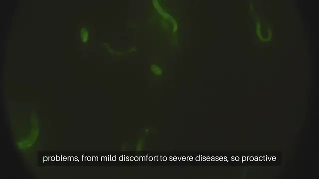 Video thumbnail for Cat Parasite Prevention Measures