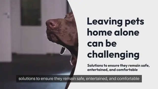 Video thumbnail for Pet Home Alone Solutions