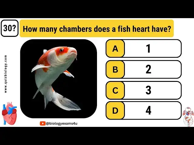 Video thumbnail for Quiz on Circulatory system|| Interactive MCQ on Circulatory System || 30 Questions and answer