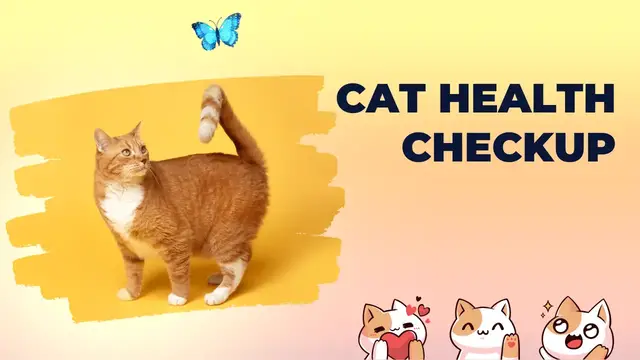 Video thumbnail for Cat Health Checkup