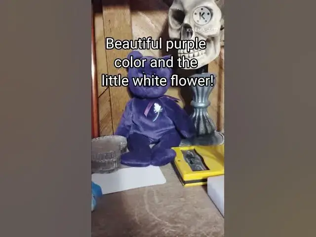 Video thumbnail for Random Thoughts: Beanie Babies Nostalgia