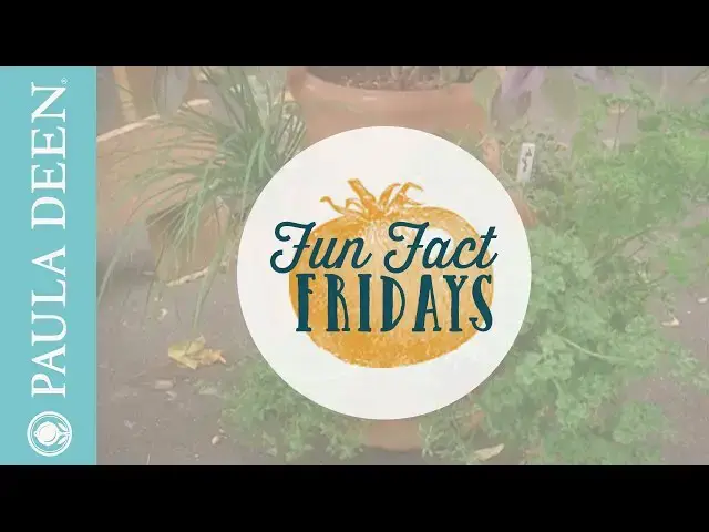 Video thumbnail for Fresh Herbs from Monkswood Nursery - Fun Fact Fridays