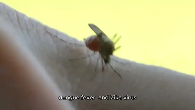 'Video thumbnail for Top 10 Deadliest Animals in the World'
