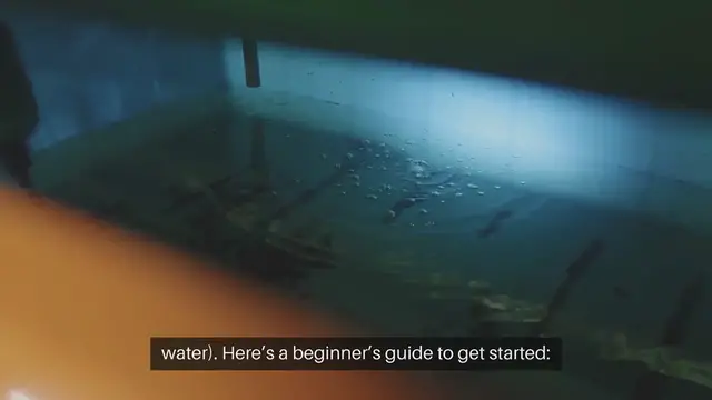 Video thumbnail for Aquaponics for Beginners