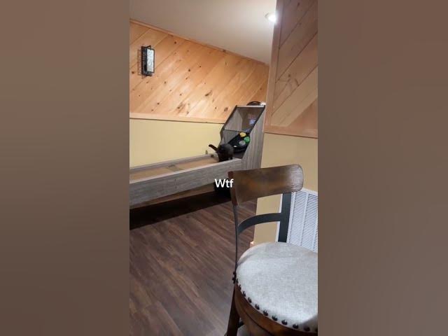 Video thumbnail for ReddFoxx is grounded