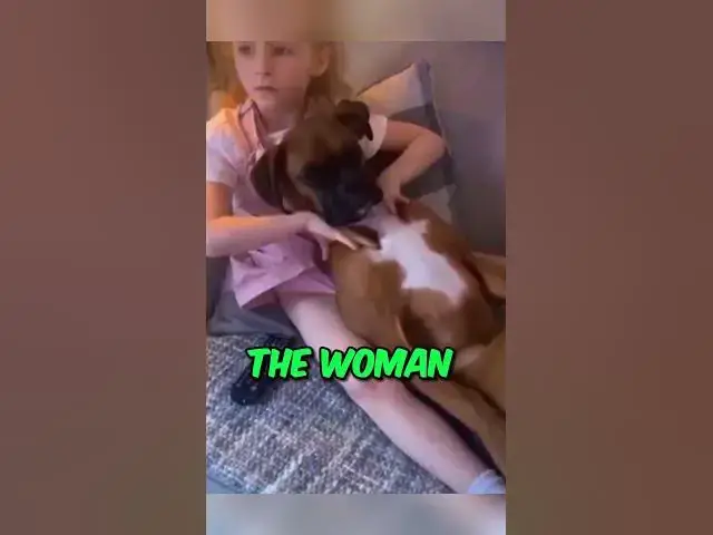 Video thumbnail for Adorable Dog Massage Session - Pure Bliss! 🌼🐩