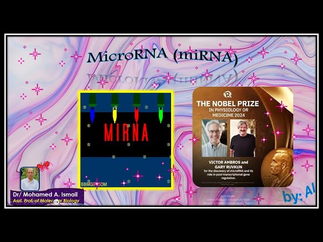 Video thumbnail for How microRNA Technology Revolutionized Medicine and Won the Nobel Prize (2024) ماذاعن جائزة نوبل