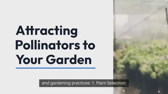 Video thumbnail for Attracting Pollinators to Your Garden