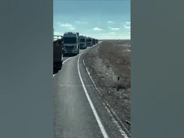 Video thumbnail for Does anyone know why they are moving like this?