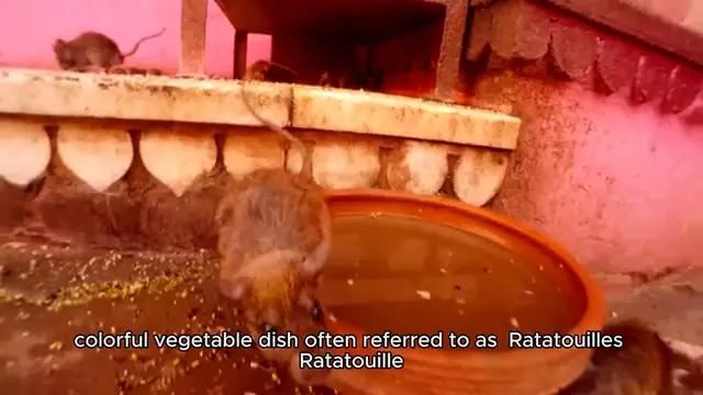 Video thumbnail for ratatouille's ratatouille recipe
