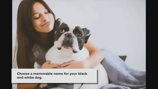 Video thumbnail for Über 139 Schwarz-Weiß-inspirierte Hundenamen, die es zu berücksichtigen gilt