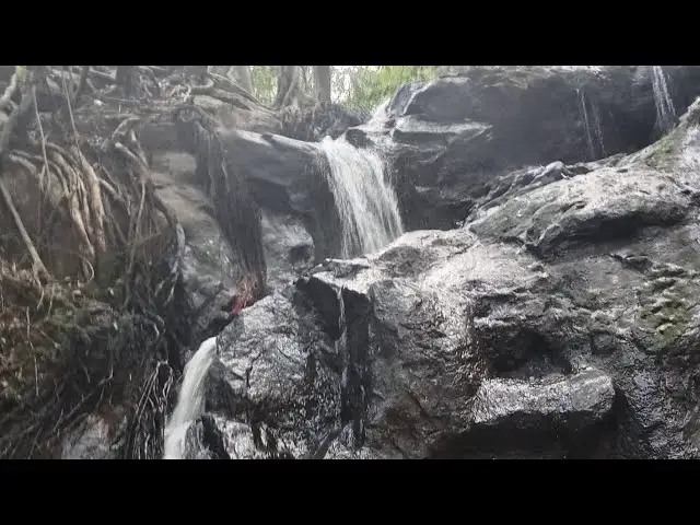 Video thumbnail for The Amazing Forest with Waterfalls #johnselephilip