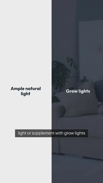 Video thumbnail for Indoor Gardening Setup