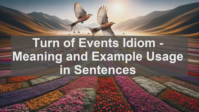 Video thumbnail for "Turn of Events" Idiom: Meaning and Usage in Sentences