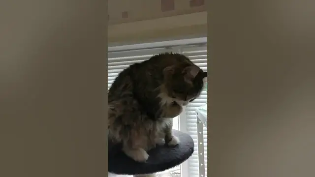 Video thumbnail for Time to take care of yourself.😀😃#shorts