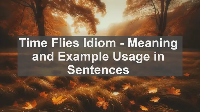 Video thumbnail for "Time Flies" Idiom: Meaning and Usage in Sentences